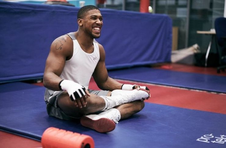 Joshua x Pulev: o atletismo de Anthony Joshua surpreendeu Fabio Wardley