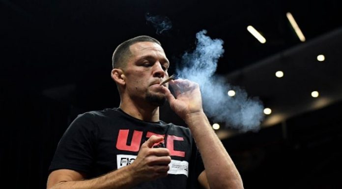 UFC: Maconha não é mais considerada antidoping